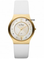 Ремешок SKAGEN SKW2027